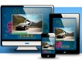 vidcoin-levee-fonds-kima-ventures