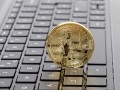 limonetik-bitnet