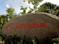 resultats-alibaba-t4-2016