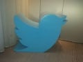 twitter-ned-segal
